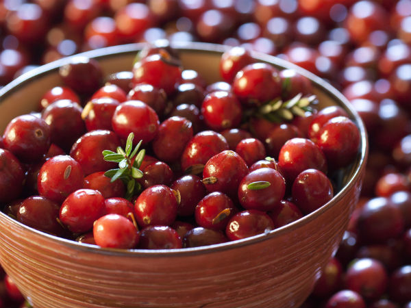 Jus cranberry bisa bikin ginjal sehat.